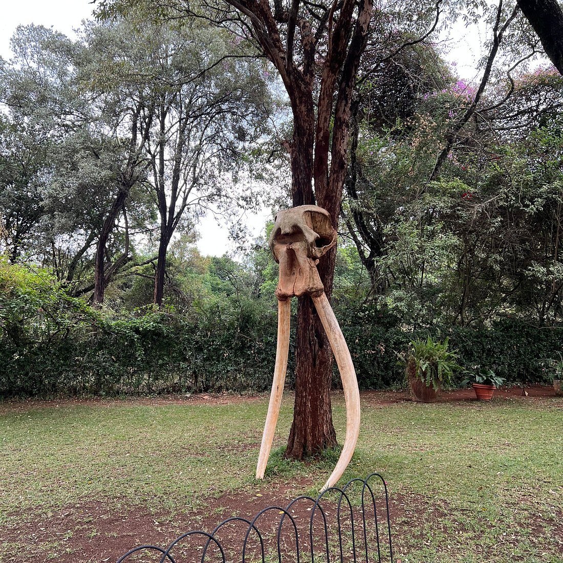 Matbronze Art Gallery