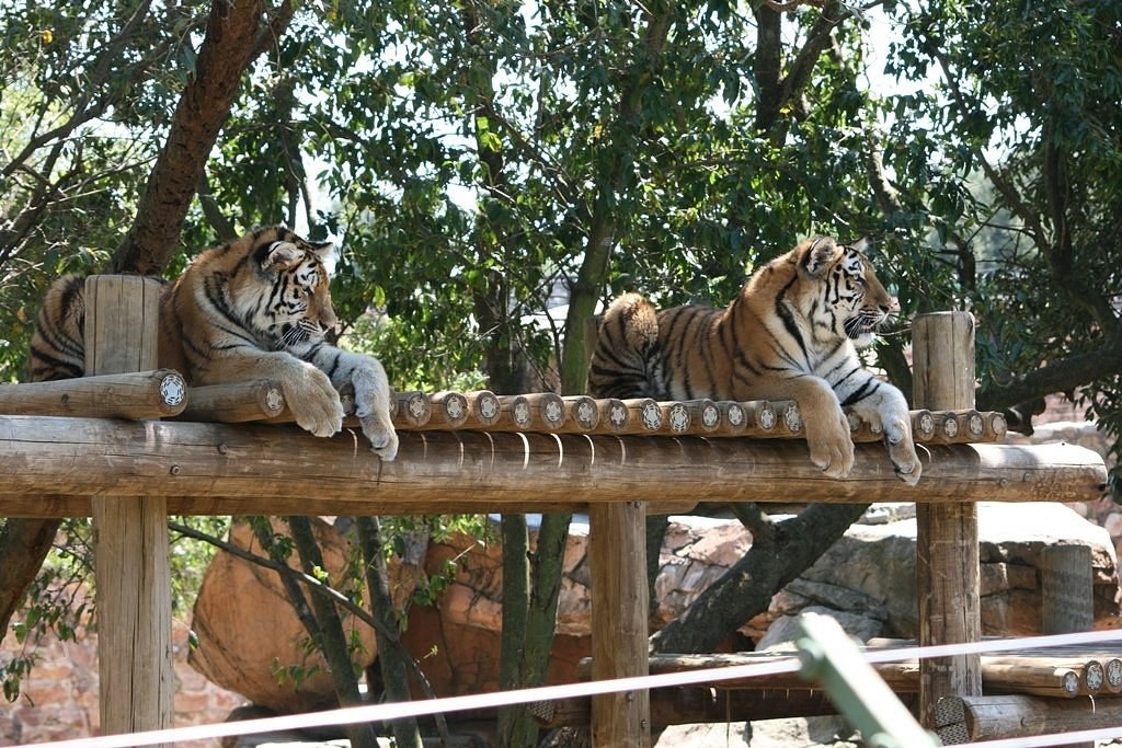 Johannesburg Zoo