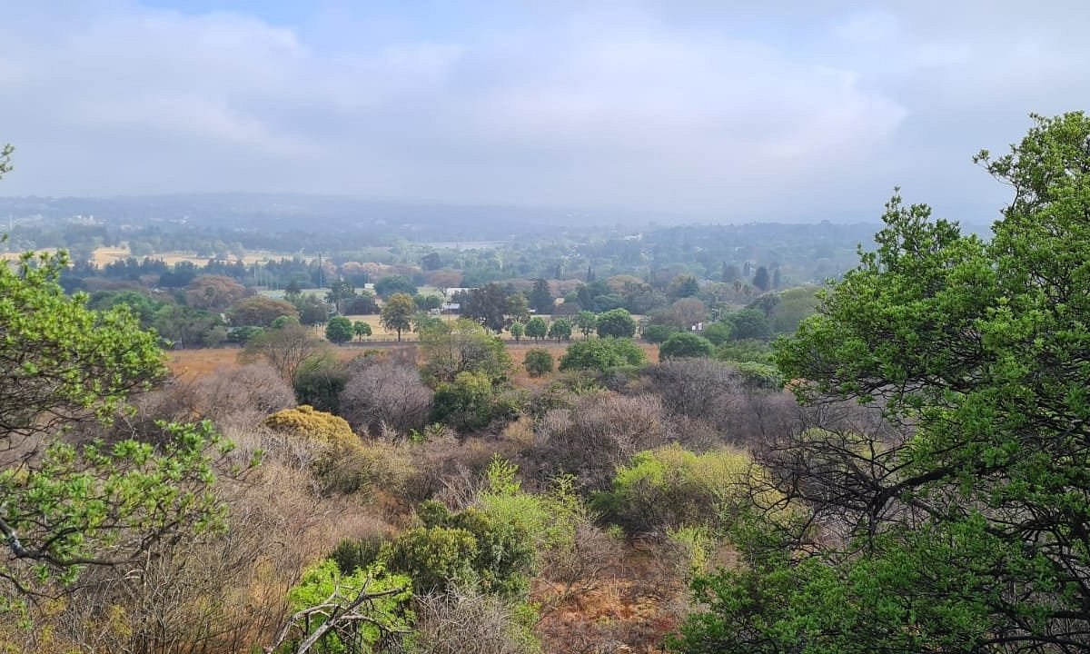 Melville Koppies Nature Reserve
