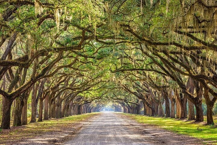 Savannah, GA