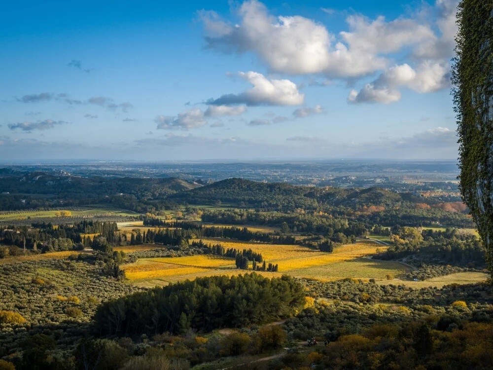 Domaine de Trévallon