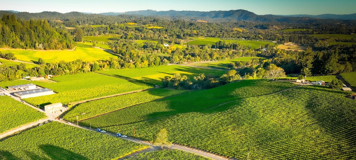 Dutton-Goldfield Winery