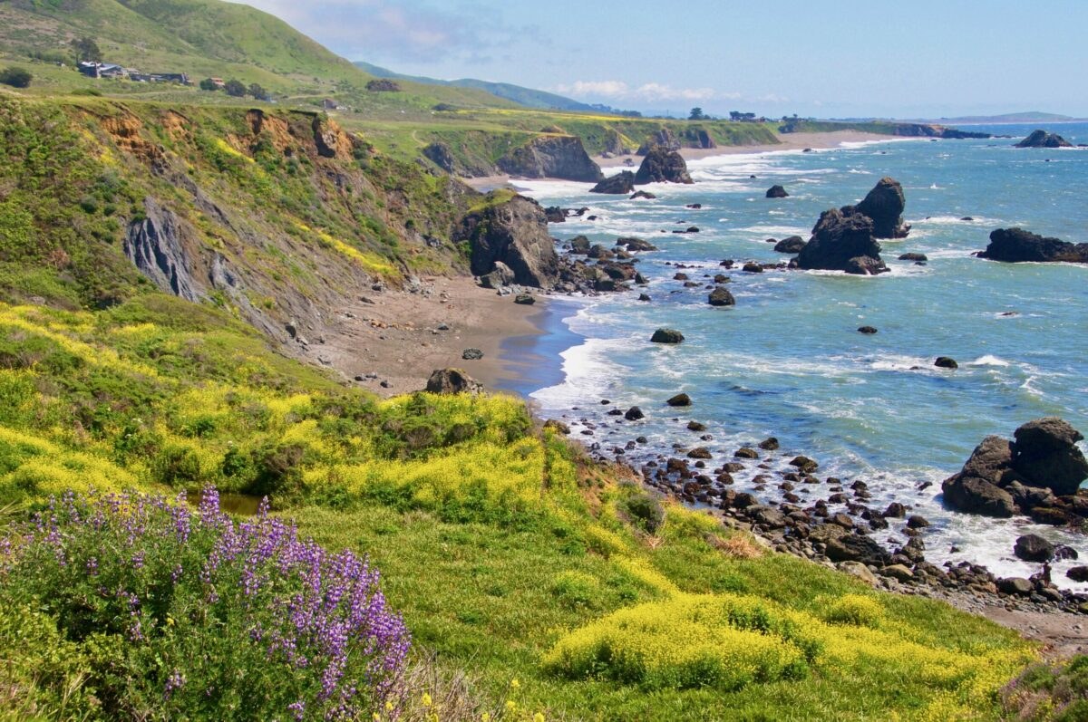 Sonoma Coast State Park