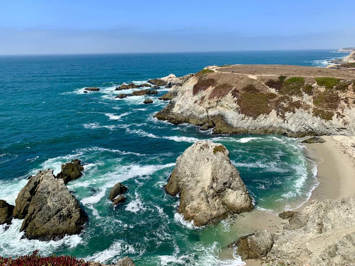 Bodega Head Trail