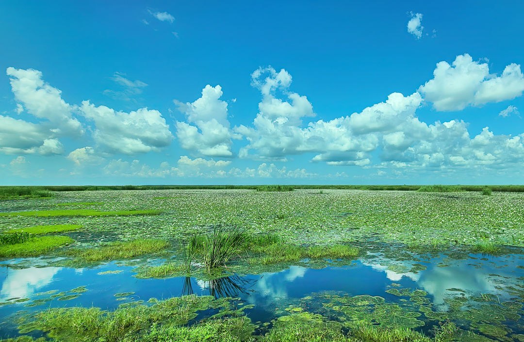 Anahuac National Wildlife Refuge