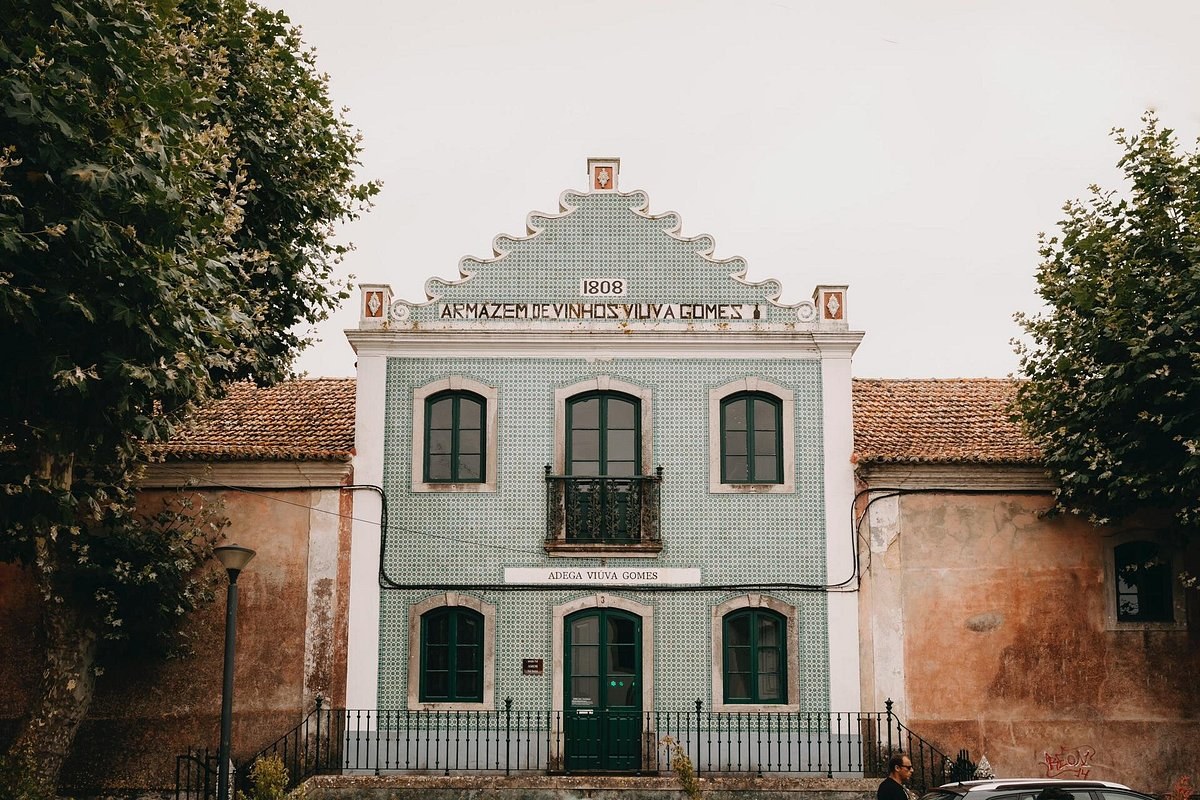 Colares Wine Region & Adega Viúva Gomes