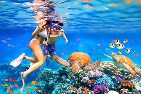 Candidasa Coral Garden Snorkel & Community Marine Program