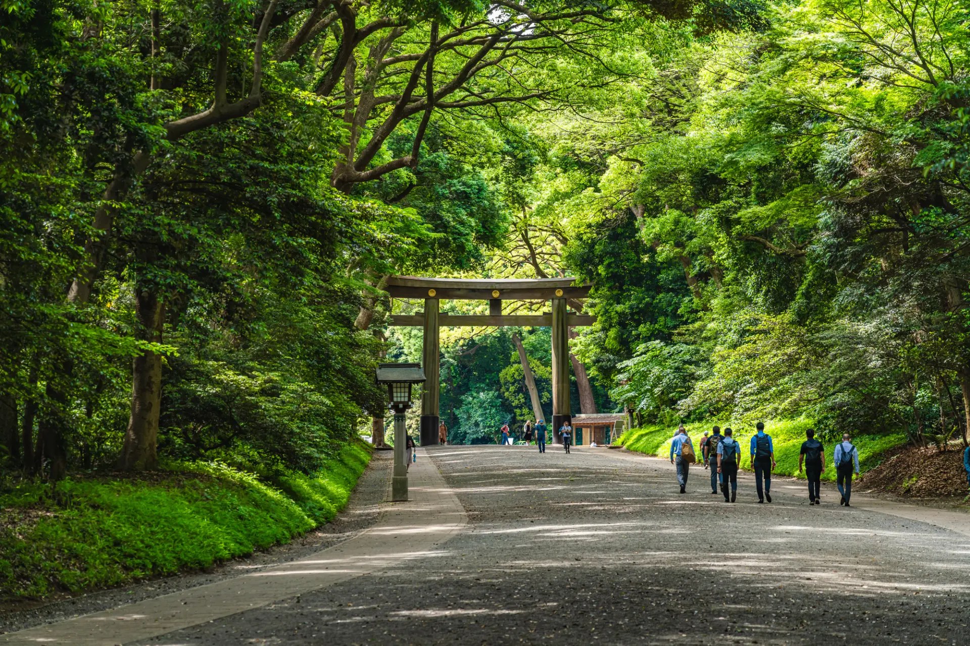 Meiji Shrine Forest Walk