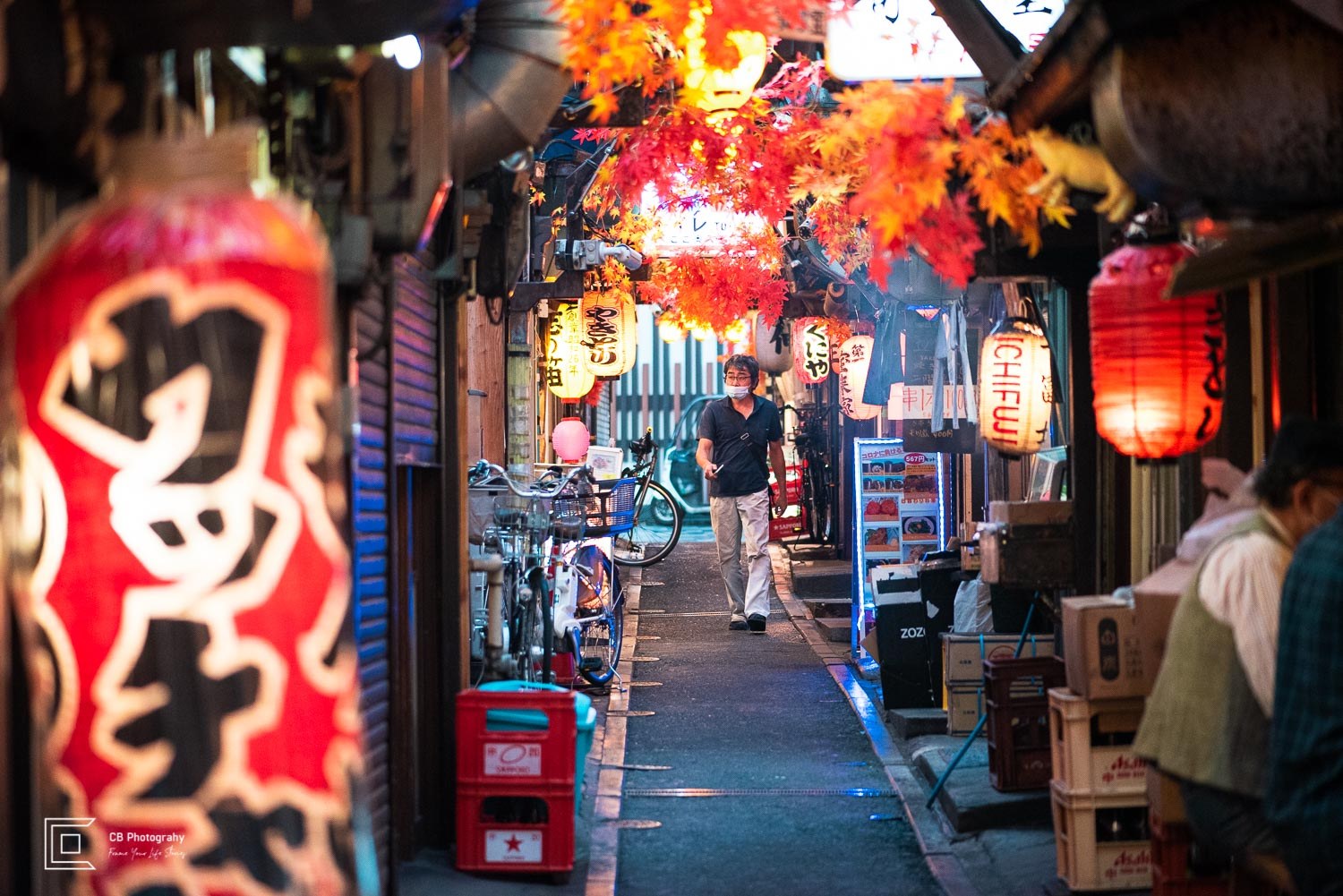 Omoide Yokocho (Memory Lane)