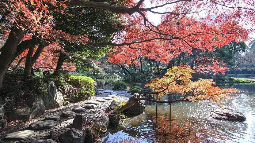 Koishikawa Korakuen Garden