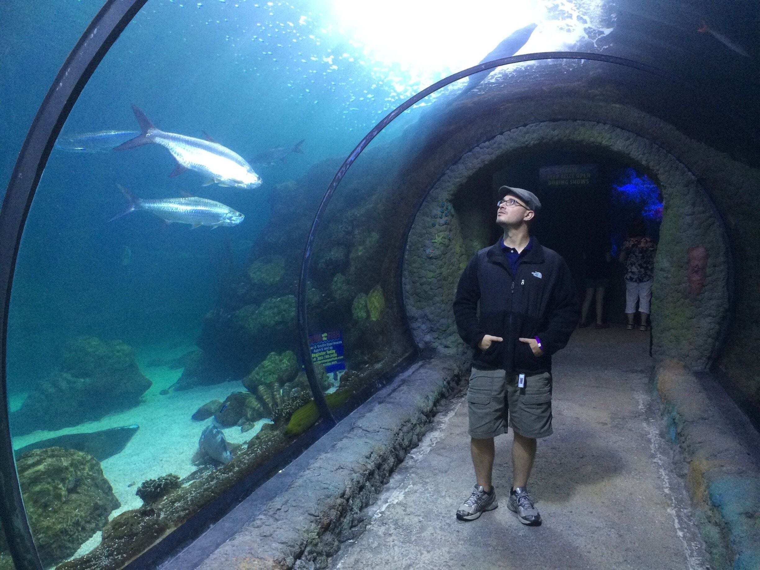 Denver Aquarium
