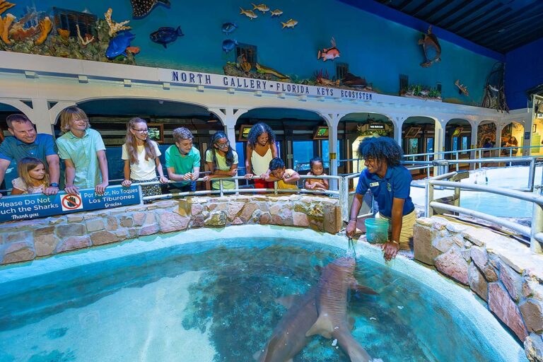 The Shipwreck Exploration Museum & Aquarium