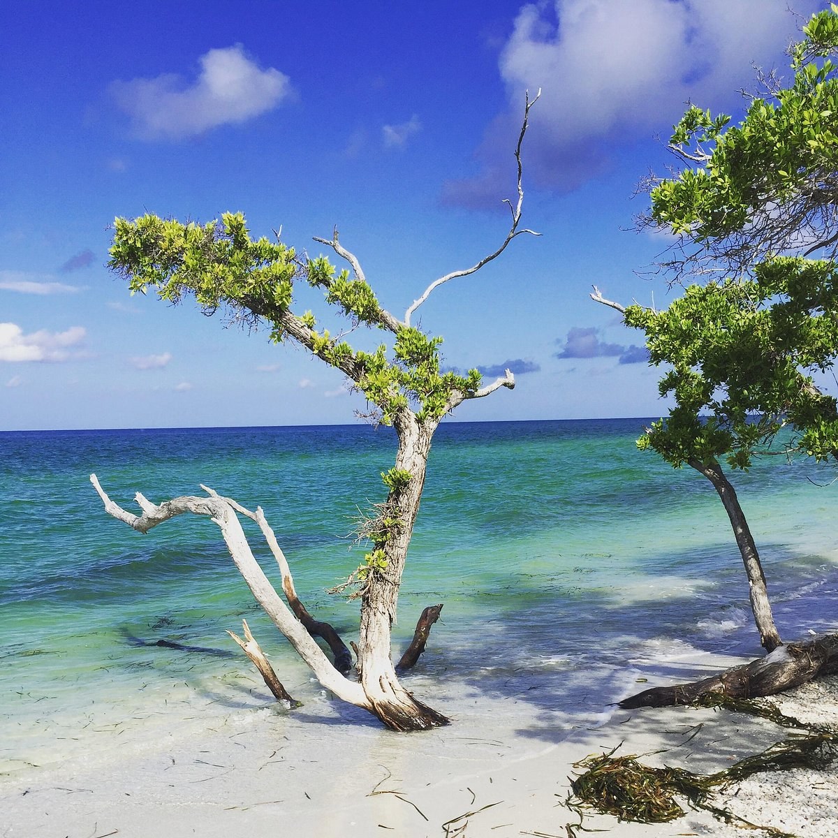 Cayo Costa Island State Park