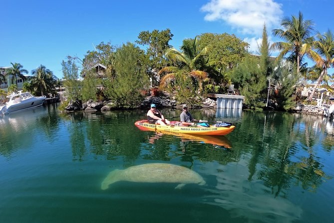 Backcountry kayaking & manatee tours in the Marquesas Keys