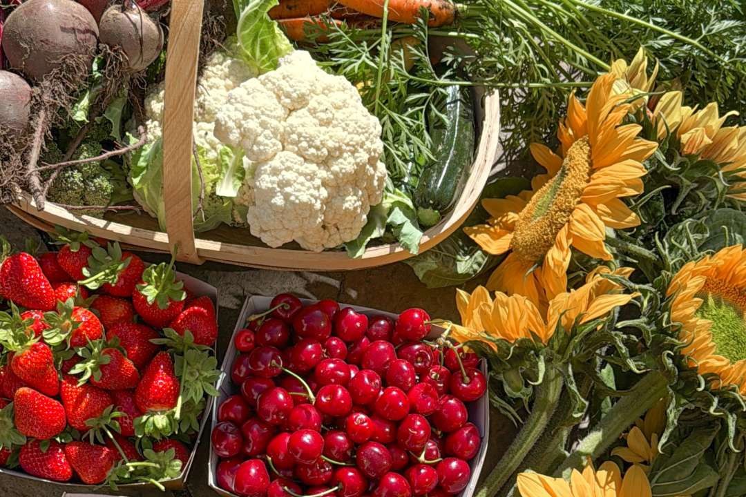 Bellenden Fruit Farm (Pick-Your-Own & Farm-to-Table, Kent)