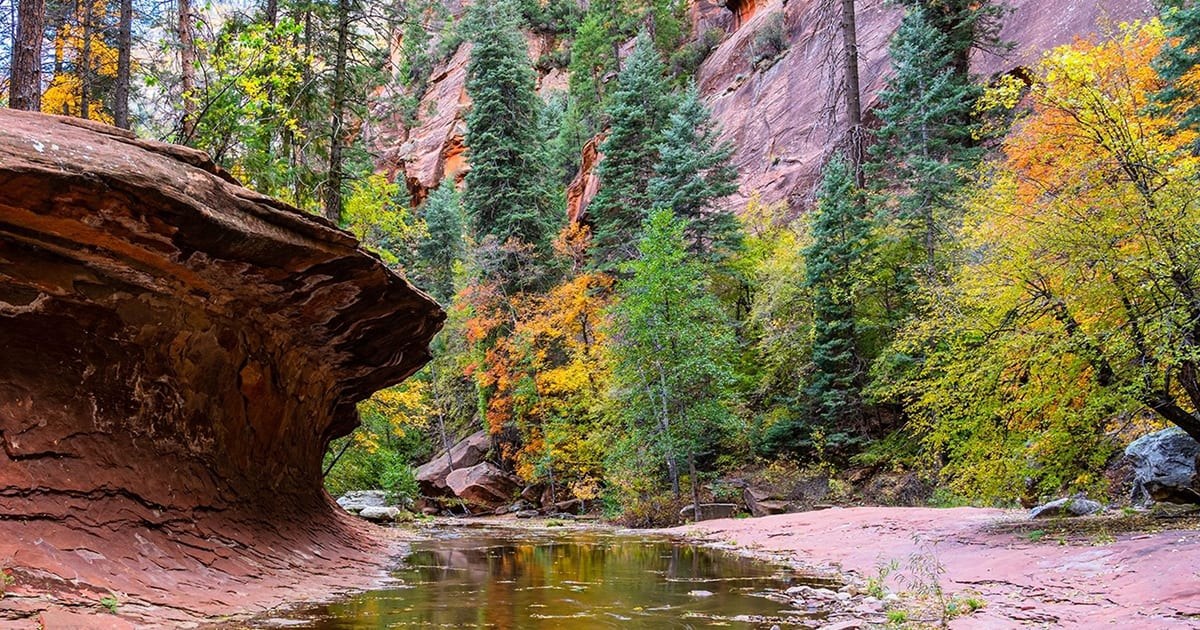 Coconino National Forest: West Fork Trail