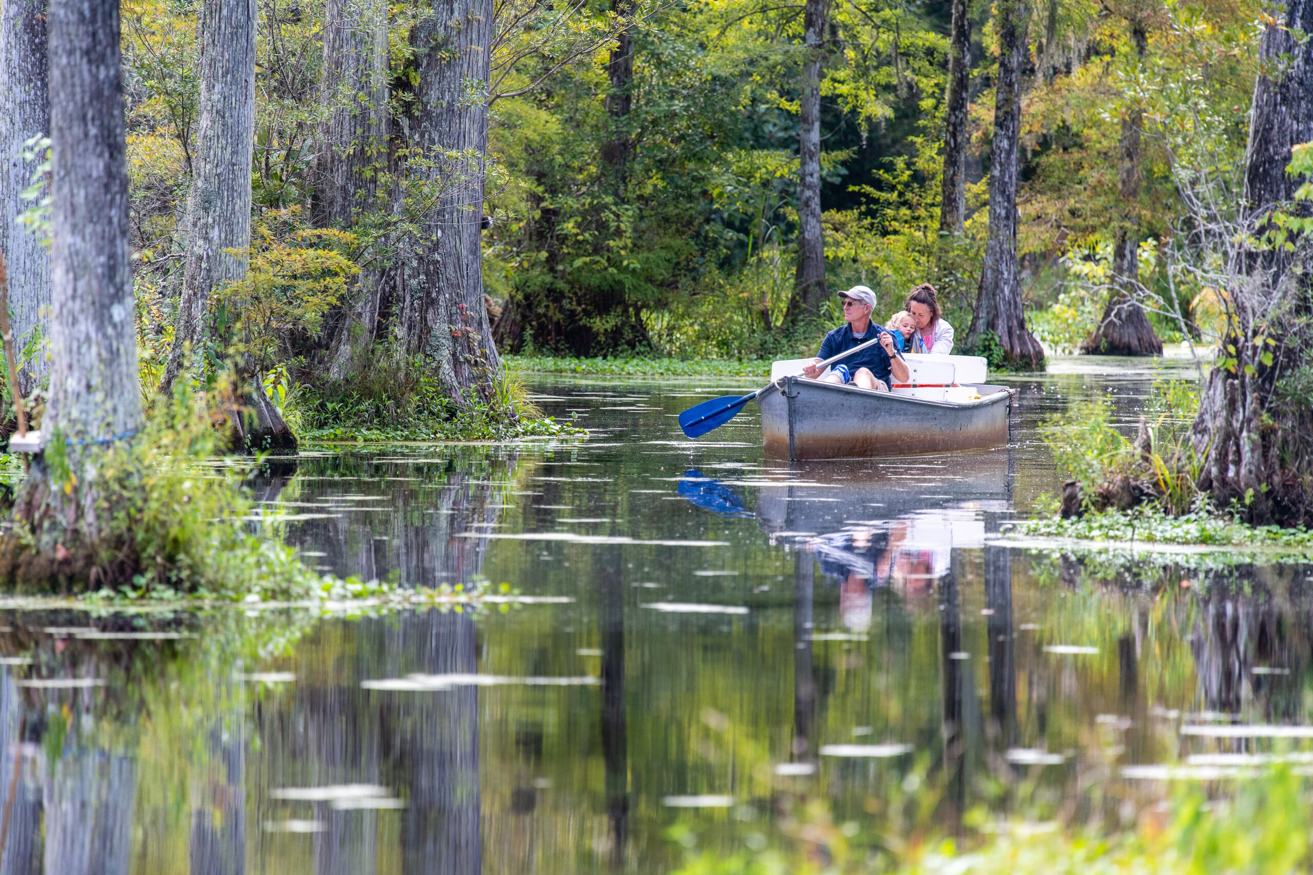Cypress Gardens