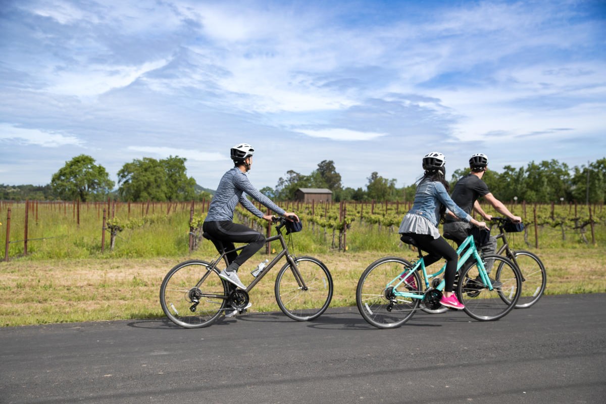 Cycling the Napa Valley Wine Country Route