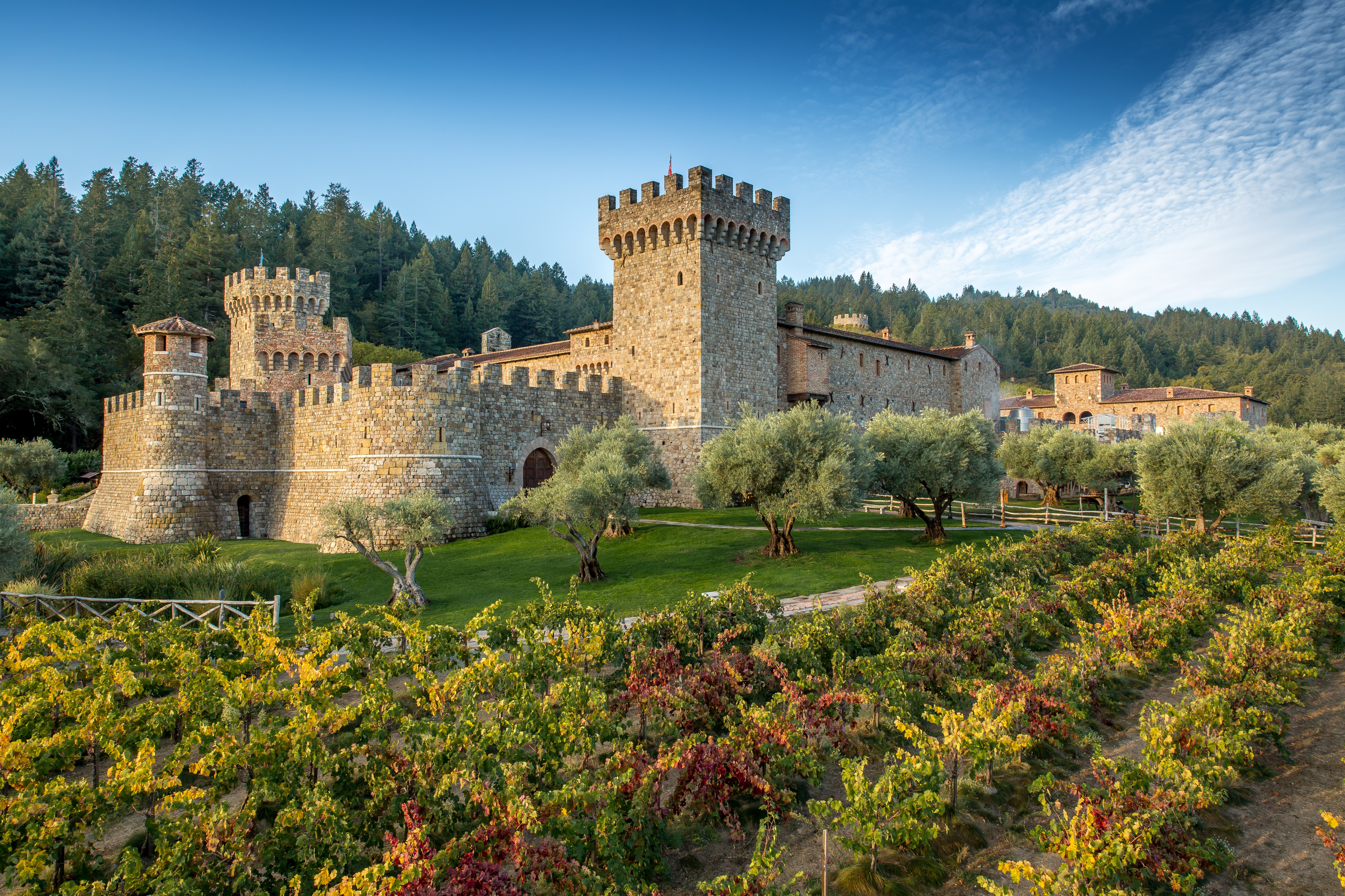 Private Sommelier-Led Tasting at Castello di Amorosa