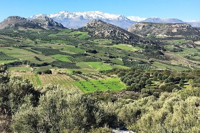 Raki Distillery Farm Visit