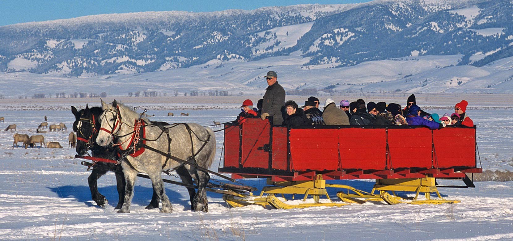 Shooting Star Sleigh Rides
