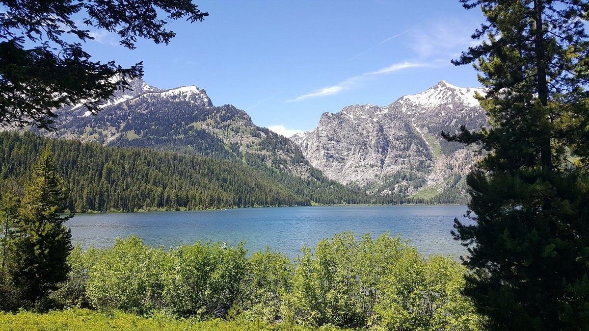 Laurance Rockefeller Preserve — Solitude Walks & Botanical Focus