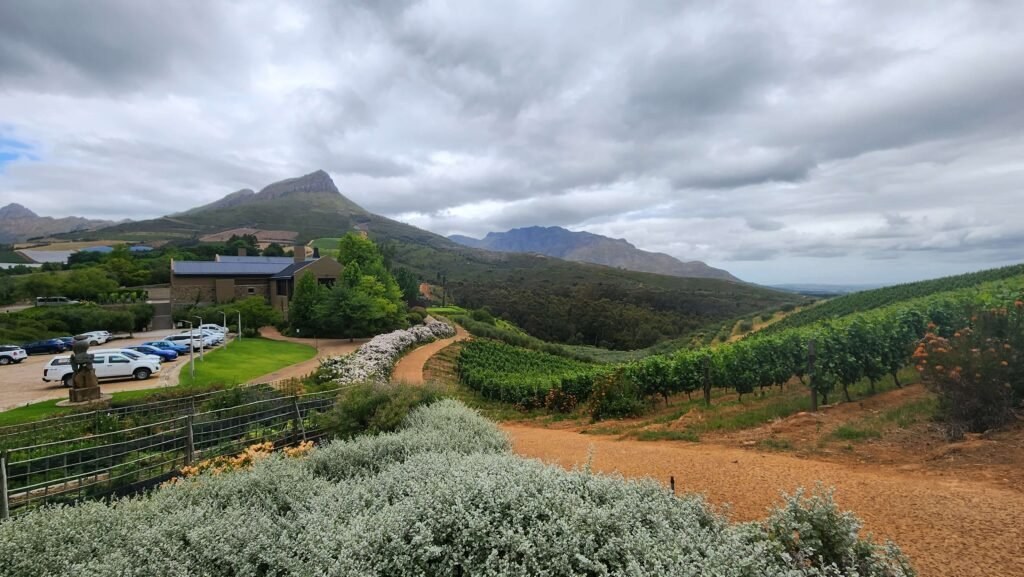 Tokara Wine Estate (Willamette Valley)