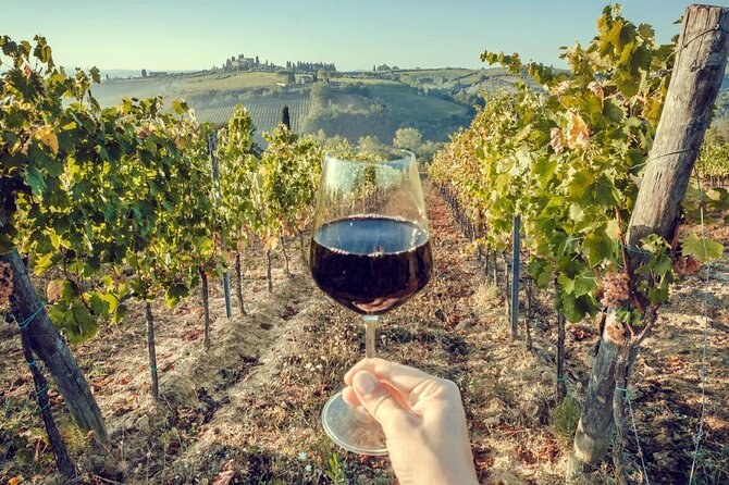 Private Wine Tasting in Arruda Wine Region