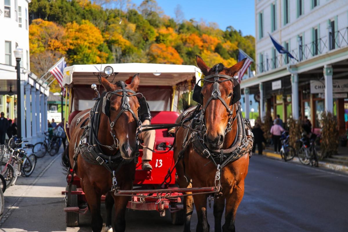 Mackinac Island Carriage Company — Private Carriage Tour