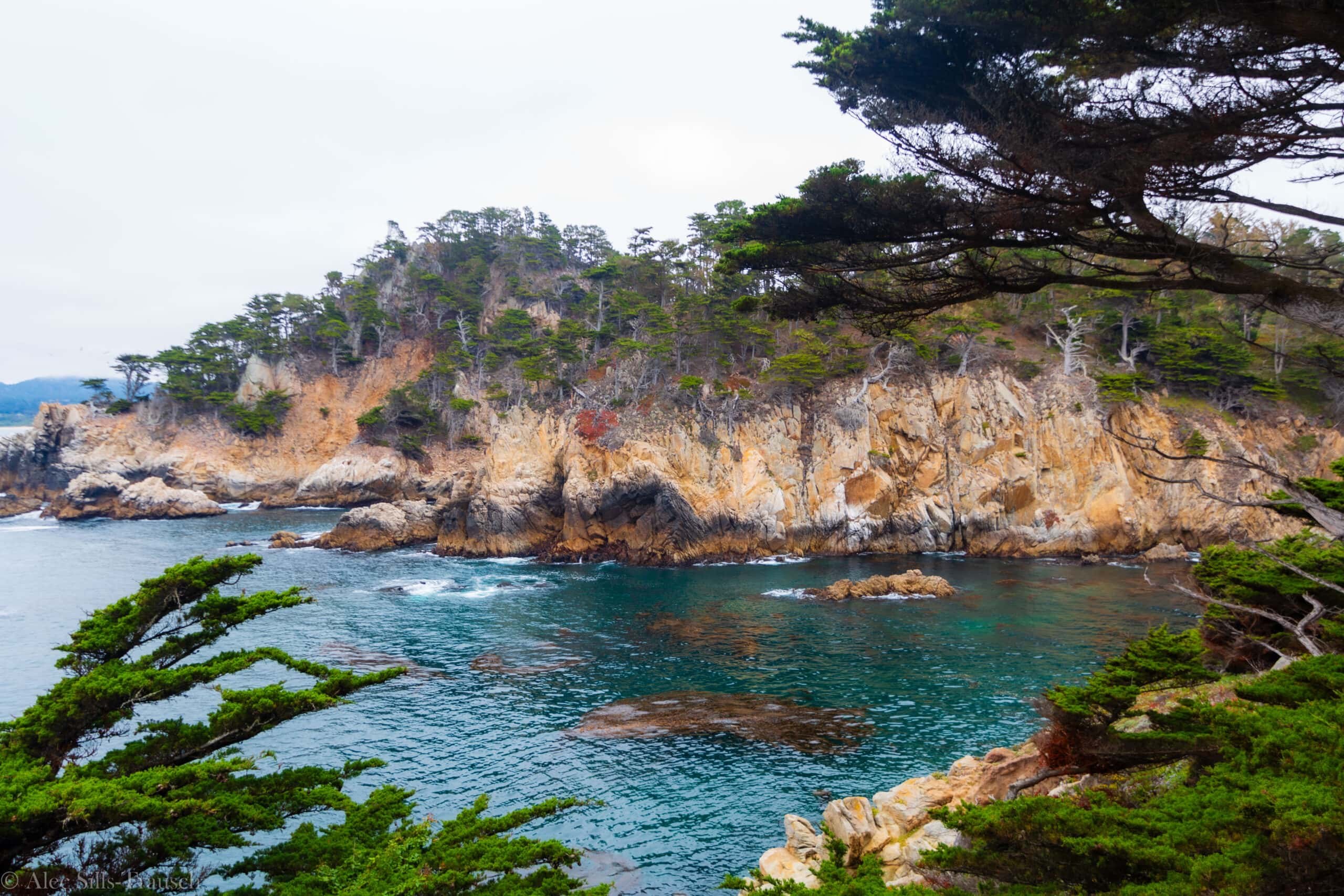 Point Lobos State Natural Reserve