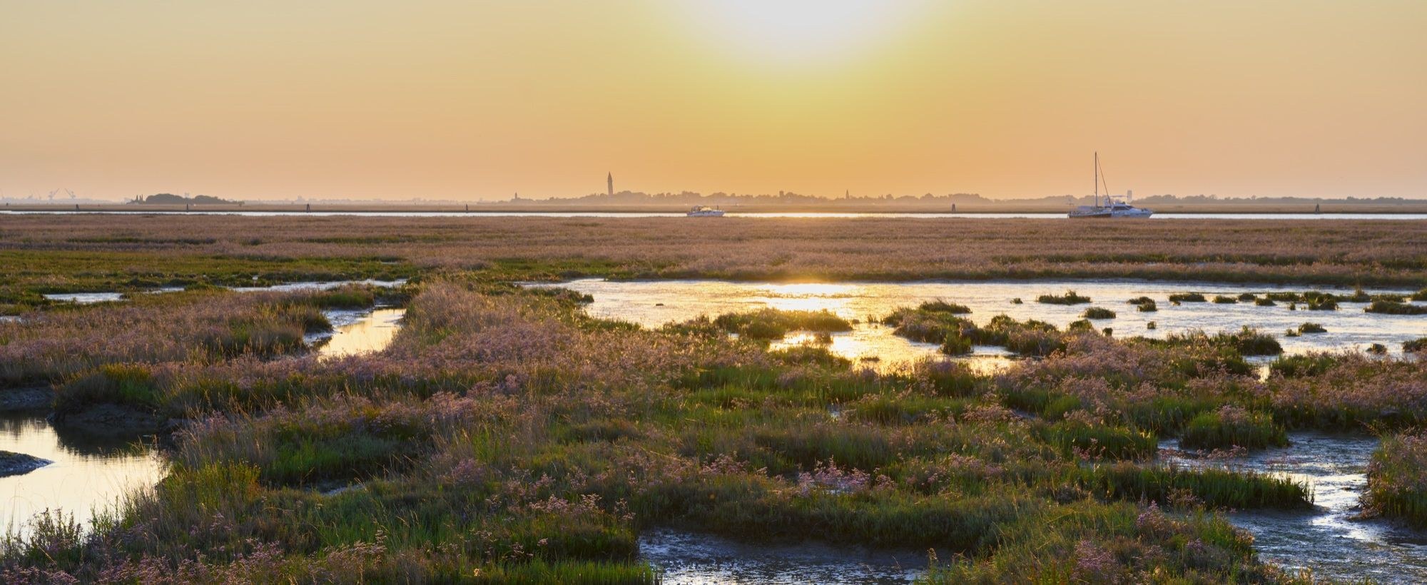 Treporti Salt Marshes at Dusk – Lagoon Ecology Walk
