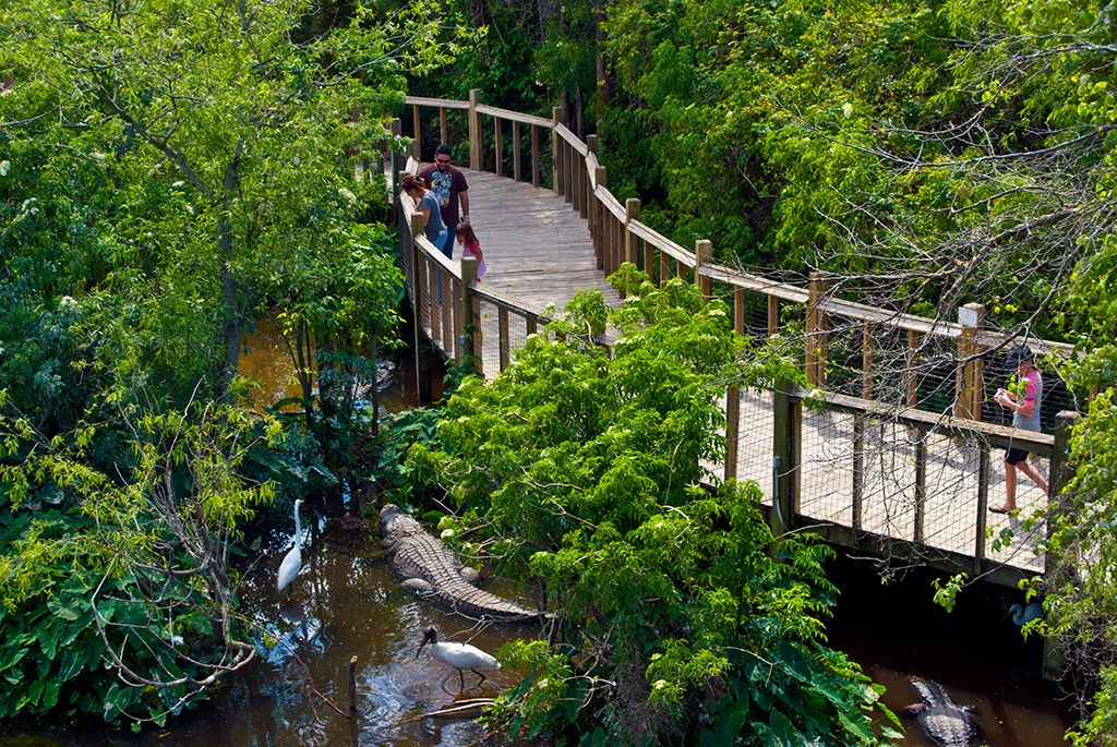Gatorland