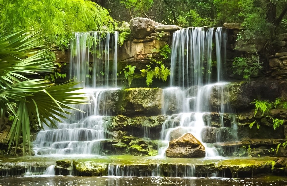 The Scenic Zilker Botanical Garden