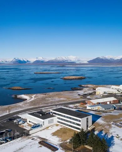 Höfn Creative Hub - Artist Collective & Café
