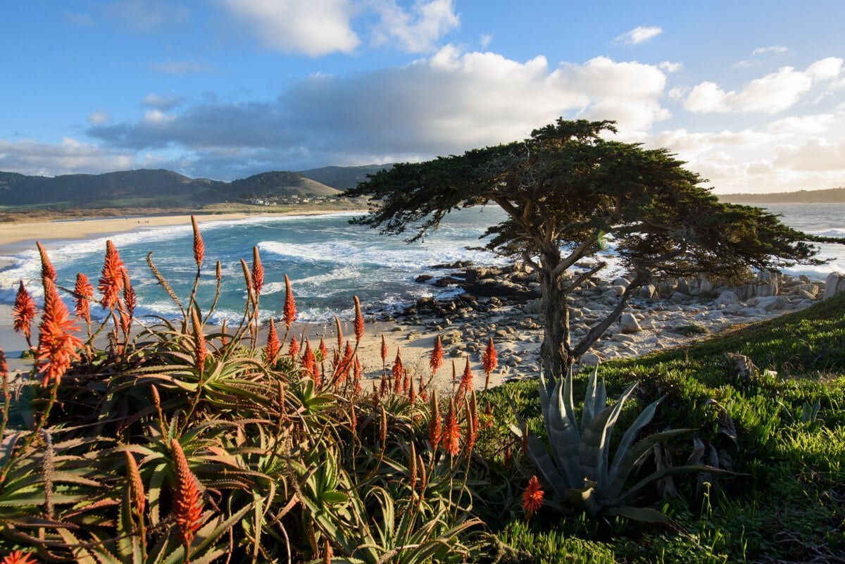 Garrapata State Park
