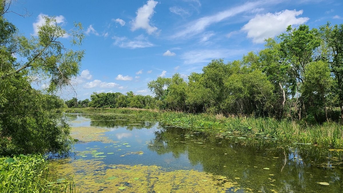 Brazos Bend State Park - Lost Lake Trail & Eagle Observatory