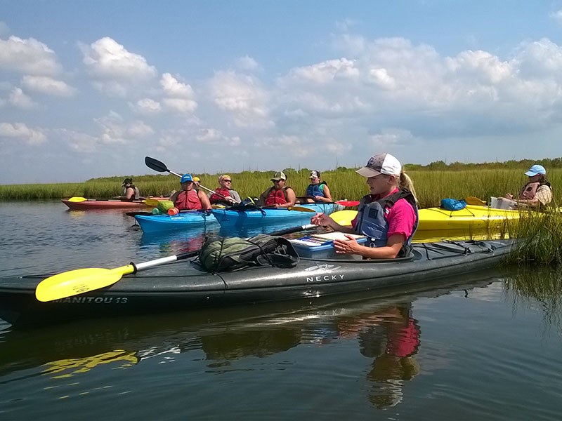 East Bay Nature Preserve - Kayak & Habitat Restoration Tours