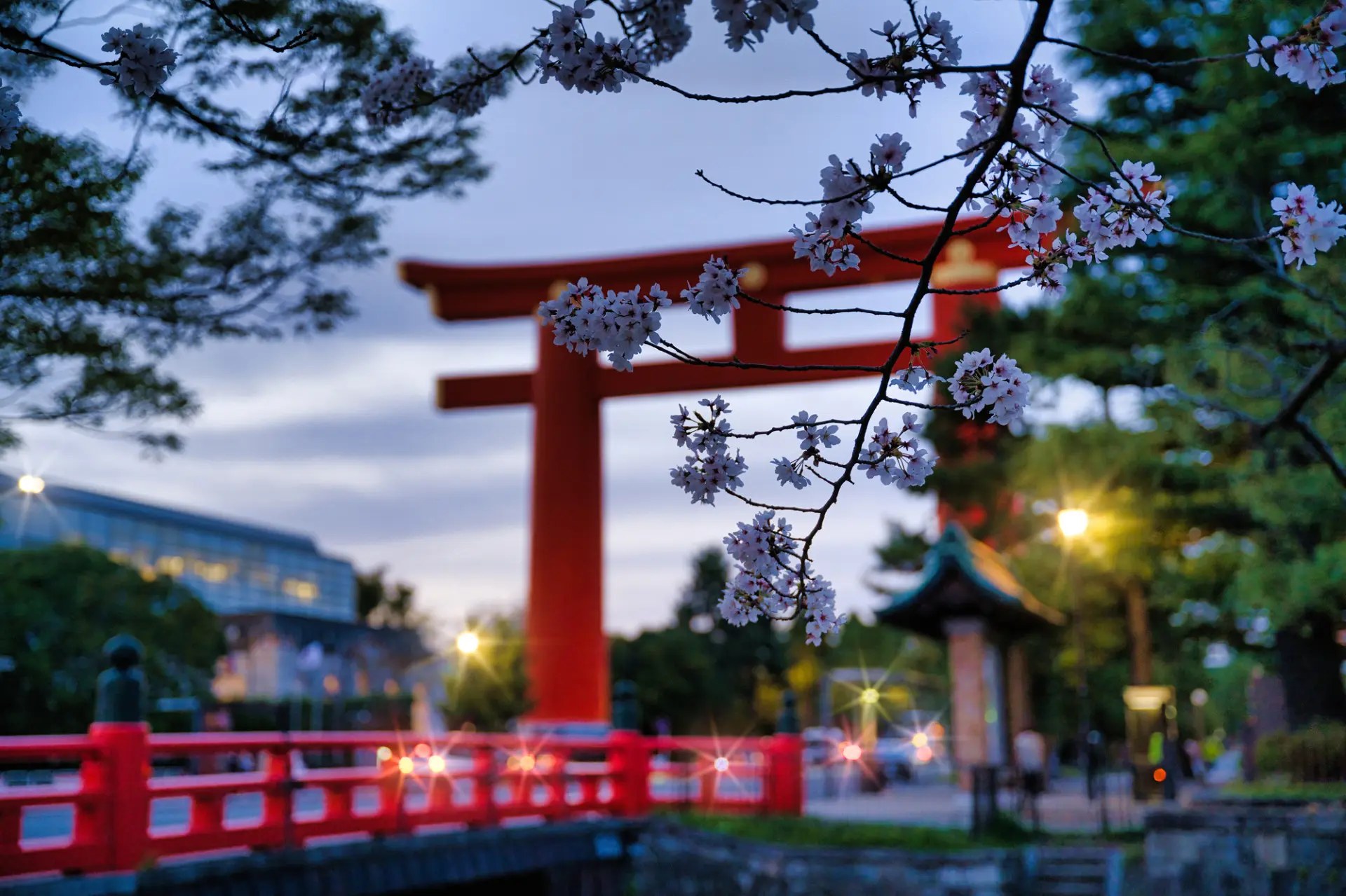 Heian Shrine Seasonal Festival Experience
