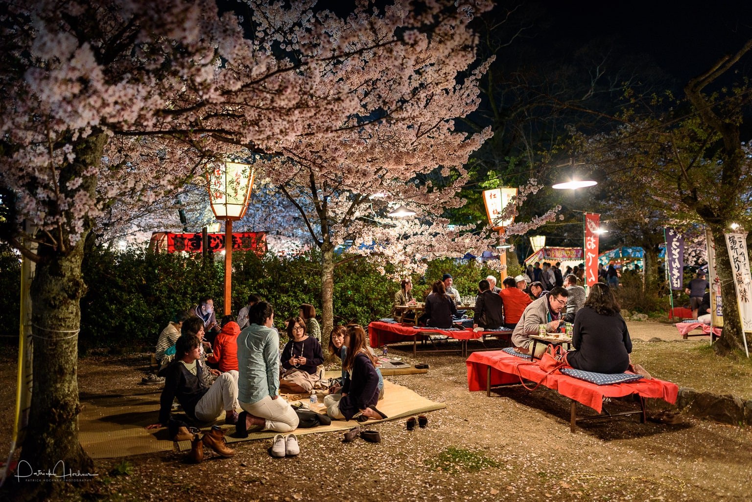 Maruyama Park Night Picnic & Star Gazing