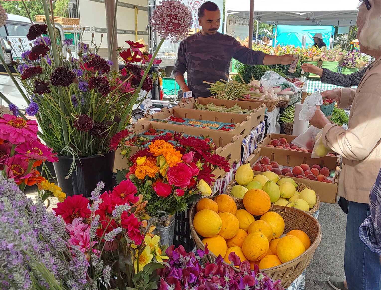 Healdsburg Plaza Market - Farmers Market & Culinary Discovery