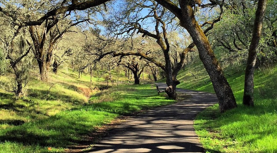 Sonoma Valley Regional Park - Hidden Oak Woodland Trails