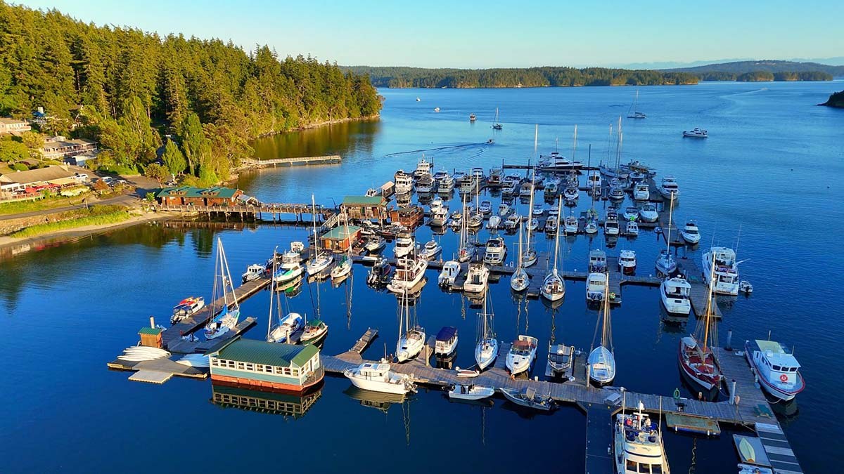 Deer Harbor Sailing Charters