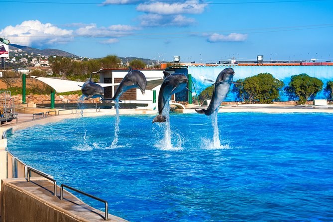 Attica Zoological Park