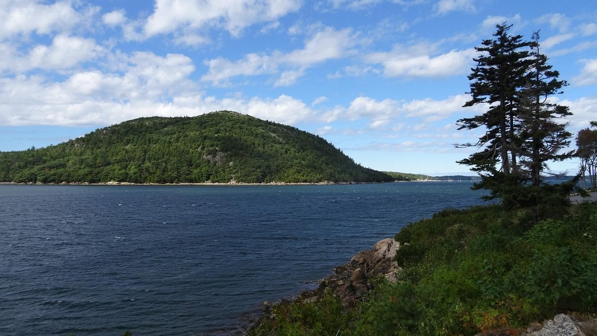 Somes Sound Kayaking & Fjord Exploration