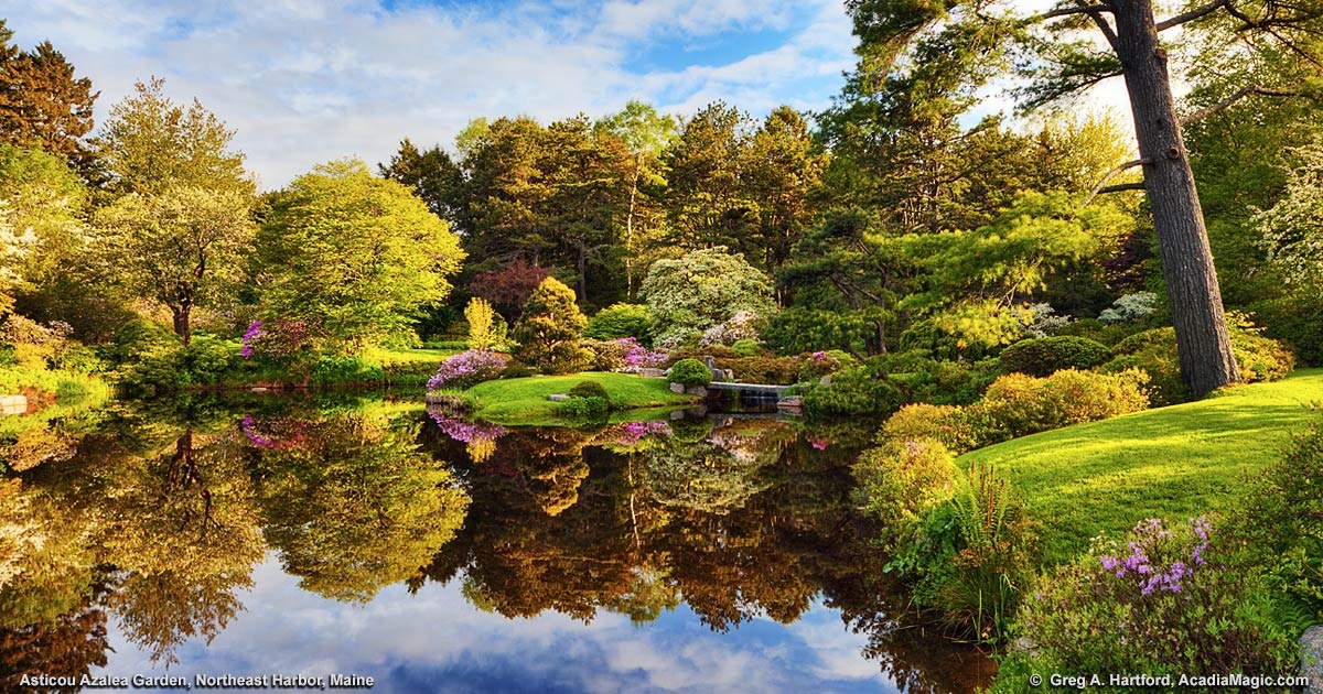 Northeast Harbor & the Asticou Azalea Garden