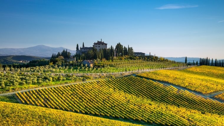Chianti Classico - Fontodi Winery Tour & Cellar Tasting