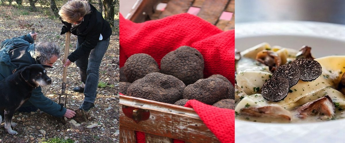 Truffled Truffle Hunt & Cooking in Drôme Provençale