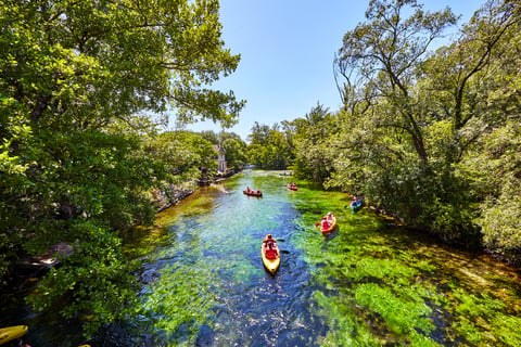 Sorgue Valley Kayaking & Hidden Waterfall Picnic
