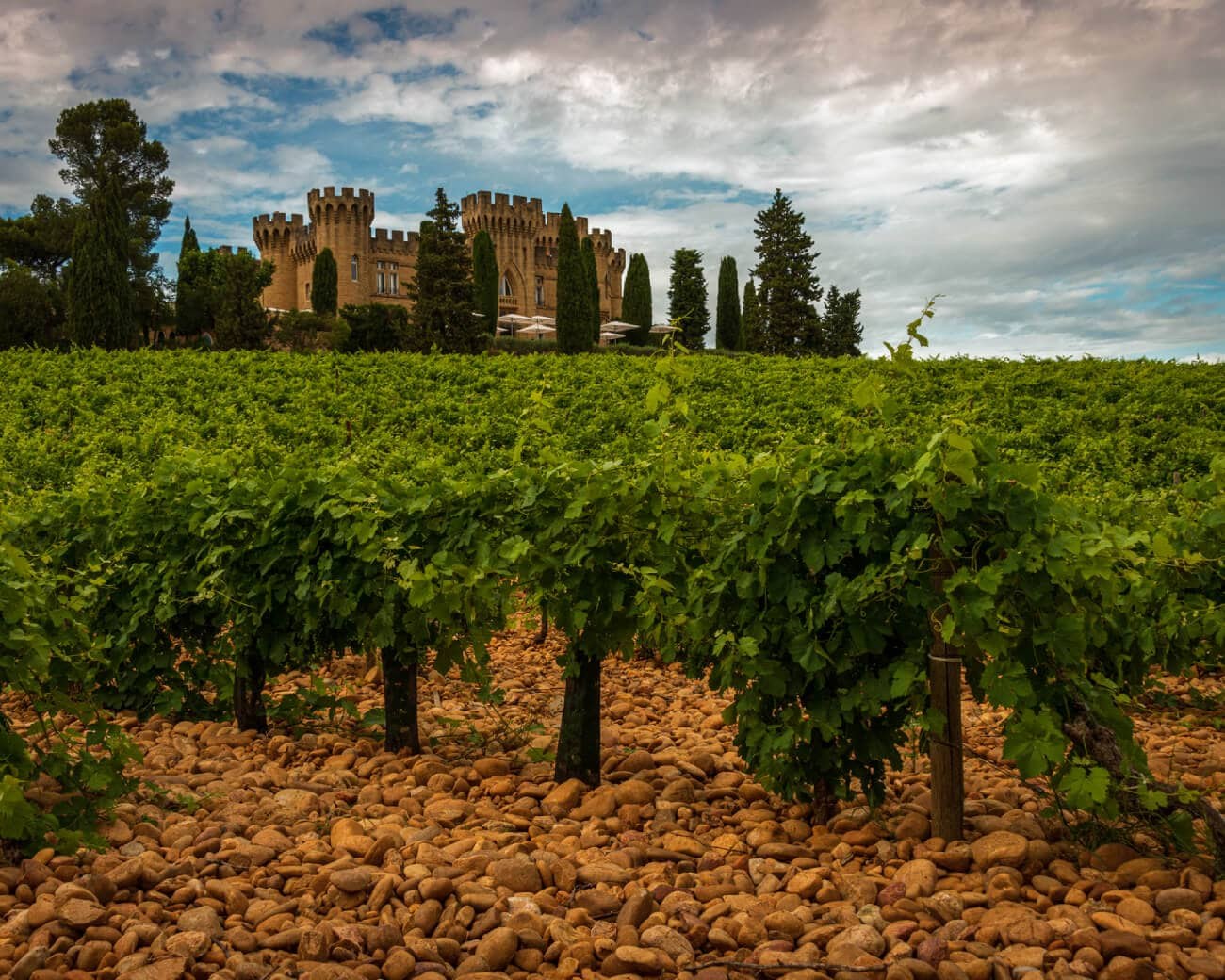 Wineries of Châteauneuf-du-Pape (Sommelier-Curated Tastings)