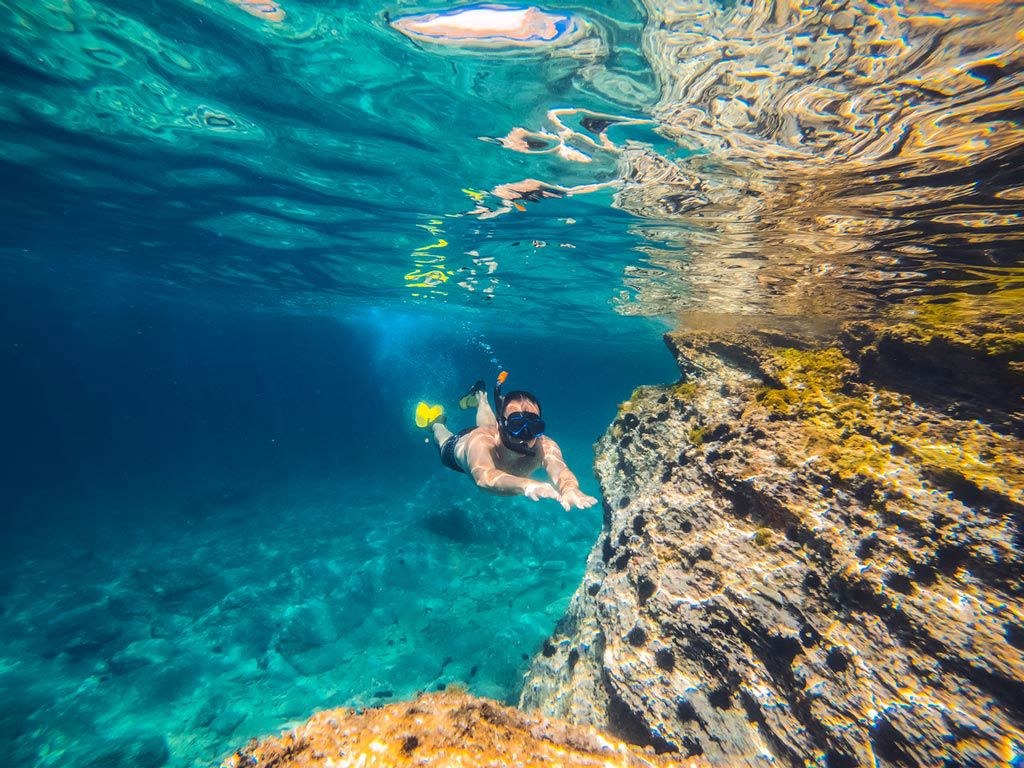 Night Dive or Snorkel: Bioluminescent Waters (Seasonal)